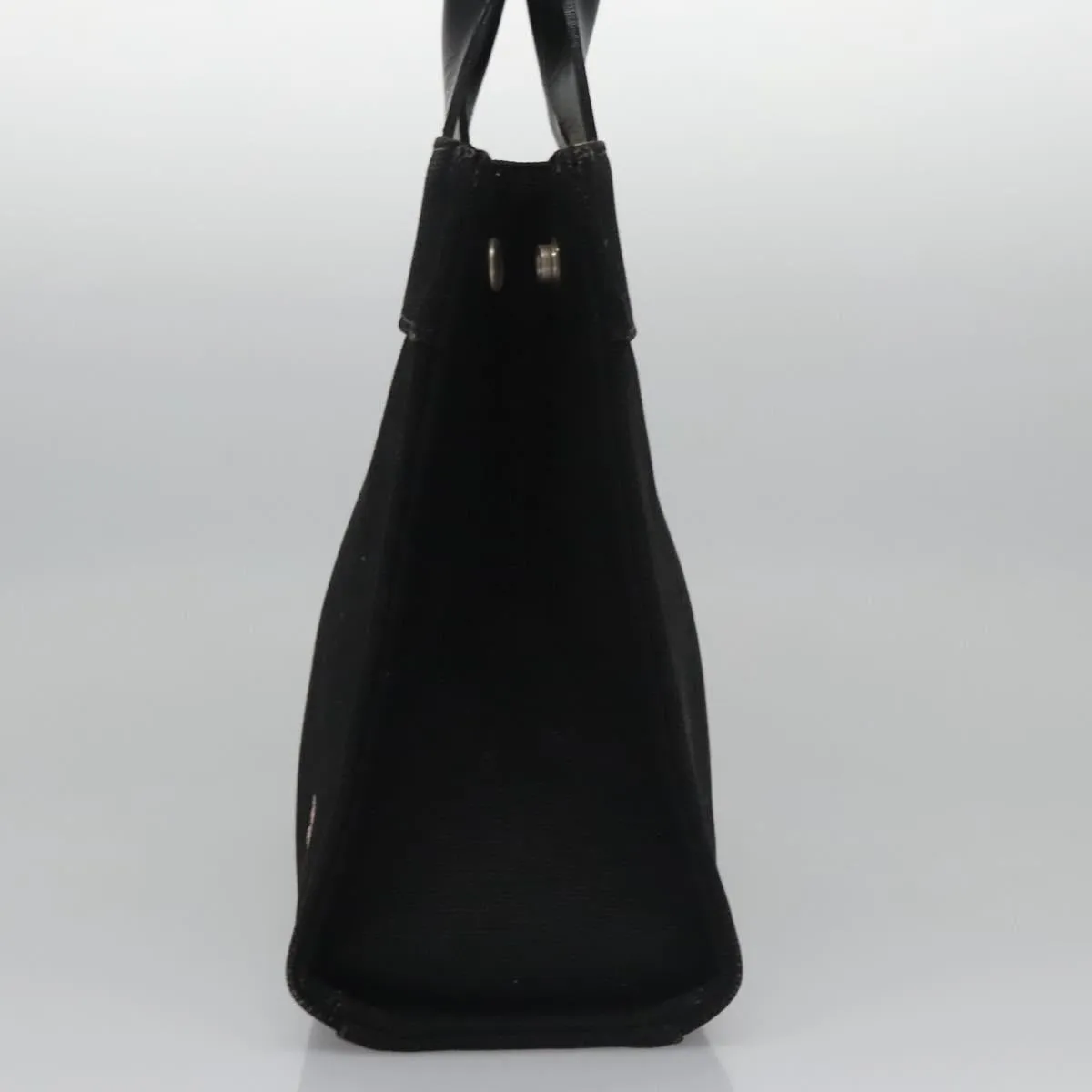 Burberry blue Label Canvas Handbag (Pre-Owned)