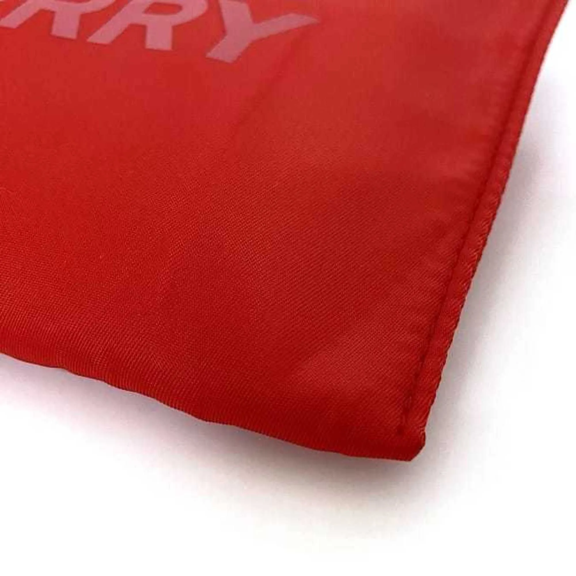 Burberry  Nylon Rubber Clutch Bag (Pre-Owned)